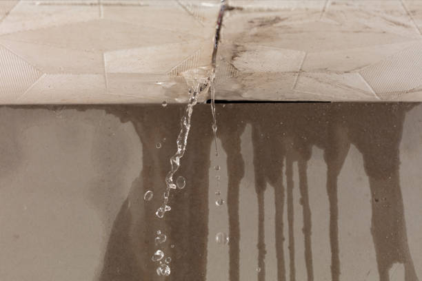 Professional Structural Drying technician working in Wesley, ME
